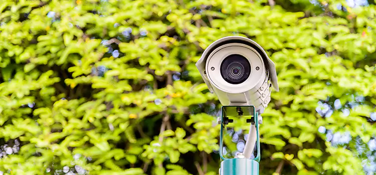 Advanced Surveillance Solutions for Every Need in Saint John