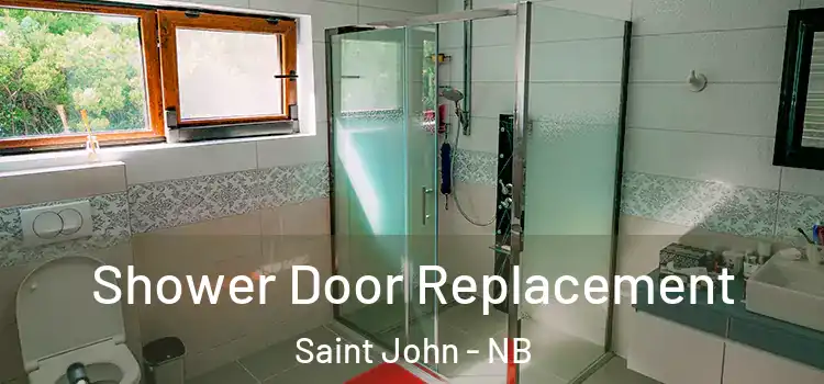  Shower Door Replacement Saint John - NB